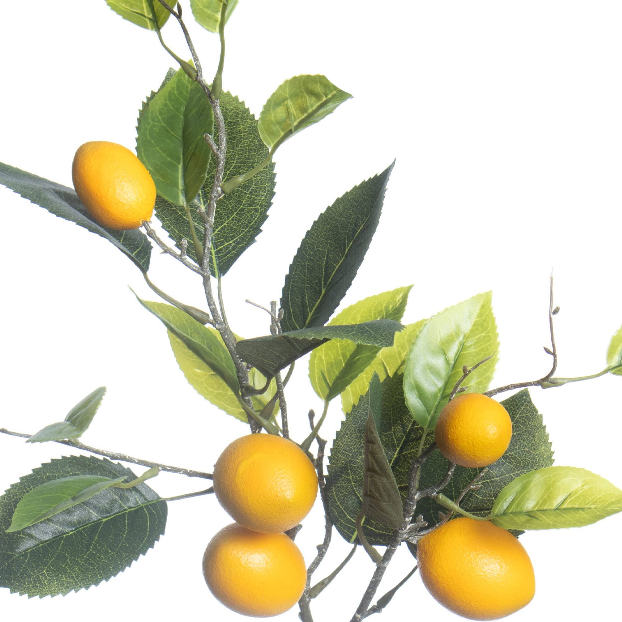 6 Pack: 31" Lemon Branch by Ashland®